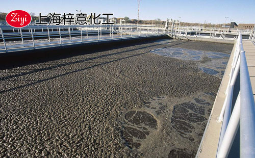 上海梓意有機硅消泡劑 上海梓意有機硅消泡劑