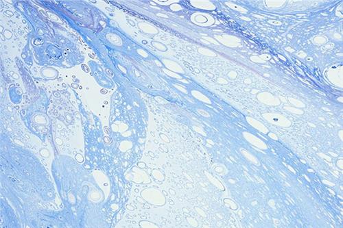 上海梓意石材膠用消泡劑 上海梓意石材膠用消泡劑